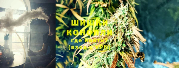 прущая мука Алзамай