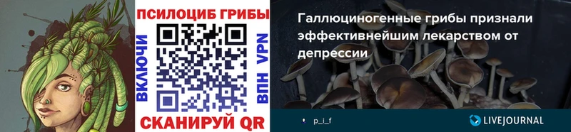 Галлюциногенные грибы прущие грибы  shop Telegram  Бирск  где найти  